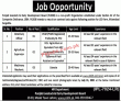 Jobs In Punjab Livestock & Dairy Development Board (plddb)