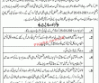 Jobs in Punjab Local Government