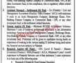 Jobs In Punjab Pension Fund Government Of The Punjab Finance