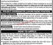 Jobs in Punjab Population Innovation Fund