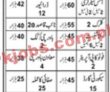 Jobs In Punjab Public Development Program Lahore