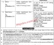 Jobs In Punjab Public Private Partnership Authority Government Of The