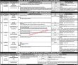Jobs In Punjab Public Service Commission Ppsc Advertisement No 19