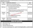 Jobs in Punjab Rangers Teaching Hospital Lahore