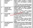 Jobs in Punjab Skills Development Fund PSDF