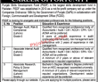 Jobs in Punjab Skills Development Fund PSDF