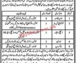 Jobs in Punjab Social Protection Authority