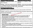 Jobs In Punjab Thermal Power Pvt Limited