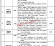 Jobs In Punjab Tianjin University Of Technology Lahore