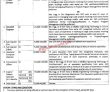 Jobs In Punjab University Of Technology