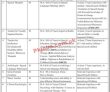 Jobs In Quaid E Azam Rangers Special Children School