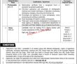 Jobs In Quaid I Azam University Islamabad