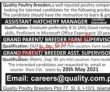 Jobs in Quality Poultry Breeders