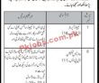 Jobs In Rescue 1122 Kpk