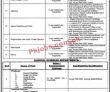 Jobs In Ryk Medical & Dental College