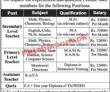 Jobs In Radiant School