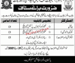 Jobs in Rangers Institute of Technical Education Lahore