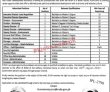 Jobs in Ravi Urban Development Authority RUDA