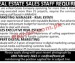 Jobs in Real Estate Company