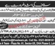 Jobs in Real Estate Department Lahore