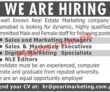 Jobs in Real Estate Marketing Company