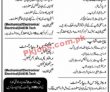 Jobs In Regal Automobile Industries Limited