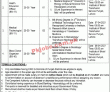 Jobs in Regional Blood Center Faisalabad