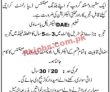 Jobs In Reputed Group