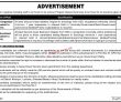 Jobs In Reputed Organization