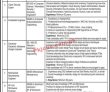 Jobs In Reputed Organization