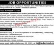 Jobs in Reputed Organization
