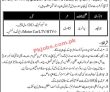 Jobs In Reputed Public Sector Organization