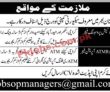 Jobs In Reputed Security Company