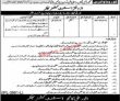 Jobs in Revenue Department Bhakkar