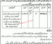 Jobs in Revenue Department Kabirwala