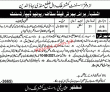 Jobs in Revenue Department Mandi Bahauddin