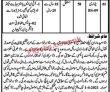 Jobs in Revenue Department Nankana Sahib