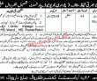 Jobs in Revenue Department Narowal