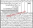 Jobs in Revenue Department Okara
