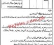 Jobs in Revenue Department Rajanpur