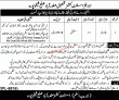Jobs In Revenue Department Sheikhupura