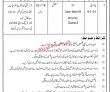 Jobs In Revenue Department