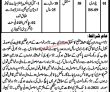 Jobs in Revenue Department