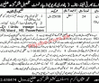 Jobs in Revenue Department
