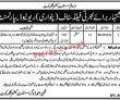 Jobs In Revenue Department