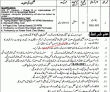 Jobs In Revenue Department