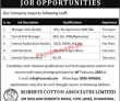 Jobs In Roberts Cotton Associates Limited