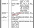 Jobs In Sepco