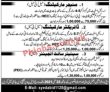 Jobs in Sapphire builder & Associates