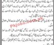 Jobs In School Education & Literacy Department Karachi